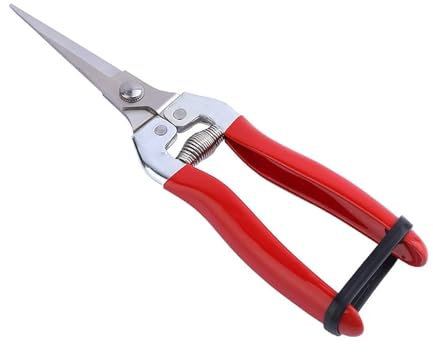 CRBUDY Tijeras podadoras de Ramas de jardín, Tijeras de podar de Yunque de Acero, Tijeras para Recoger Frutas, Herramientas para bonsái