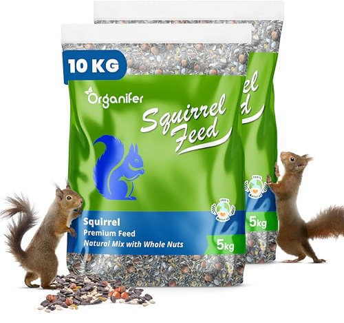 Nourriture pour Écureuils – Mélange avec des Noix Entières (10 Kg) Riche en Protéines, Matières Grasses Et Fibres - sans Pesticides - pour Mangeoires À Oiseaux - pour Toutes Les Saisons - Organifer