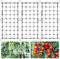 CAUTIOUS 3 PCS Filets de Treillis de Jardin 60 x 120 cm Filet de Treillis pour Plantes Filet Plante Grimpante Exterieur Réutilisable Filet de Tente de Culture avec Crochet pour Plantes Légumes Fruits