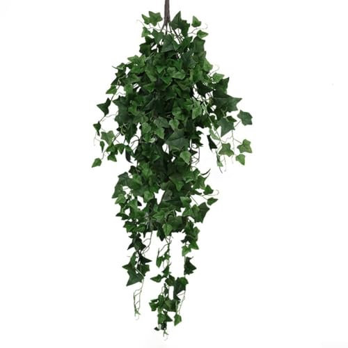 Elegante edera da appendere alla parete, aggiunge un tocco di natura a qualsiasi stanza o ufficio