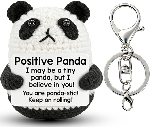 RTIOUJGI Geburtstagsgeschenk für Frauen, Pocket Hug Positive Panda,Emotionaler Support panda kuscheltier mit Schlüsselanhänger and Glücksbringer Münze für Frauen, Muttertag, Abschluss Valentinstag