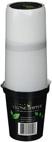 Clone Shipper Weather Station, 10 x 4, Green/Clear by Clone Shipper