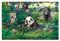 Fototapete selbstklebend Kinderzimmer - Dschungel mit Tieren 290 x 432 cm
