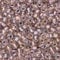 10 g TOHO Round Seed Beads Rocailles, Size 11/0, Inside Color Crystal Rose Gold Lined (# 267), Japan, Glass