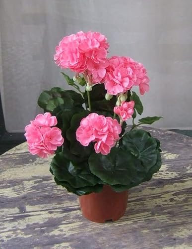 Künstliche Geranie rosa hell Kunstpflanze Kunstblume 2 Stück