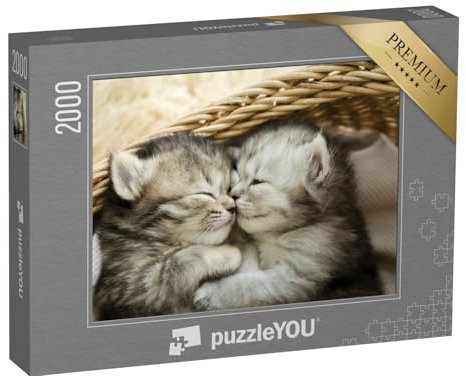 puzzleYOU: Puzzle 2000 Teile „Zwei niedliche schlafende Tigerkätzchen“ – aus der Puzzle-Kollektion Katzen-Puzzles