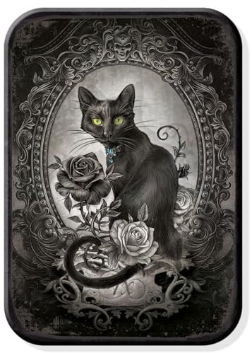 Desperate Enterprises Alchemy Black Cat Refrigerator Magnet - Funny Fridge Magnets for Work, Home & School - Made in The USA