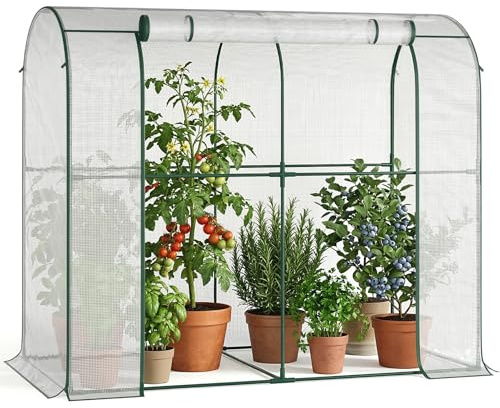 Gewächshaus - Begehbarer Tomatengewächshaus - 200x100x170 cm Foliengewächshaus für Pflanzen - Stabil, UV-Beständig, Optimales Pflanzenwachstum - Frühbeet, Gemüse, Blumen, Obst