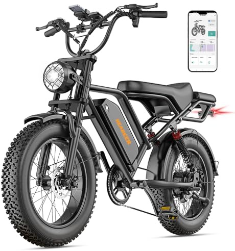 HEADEER BK20 VTT Electrique Moteur 250W, 20 x 4.0 Fat Tire Velo Eletrique Batterie 48V 20Ah et Autonomie 80Km, Double Suspension & Freins Disque, Ebike avec LCD et Bluetooth APP pour Trajets Urbains
