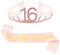 SHONCO Geburtstag Krone Schärpe,Geburtstags Schärpe und Tiara,Roségold Happy Birthday Sash und Birthday Strass Crown Tiara,für Women Birthday Decoration (16TH)