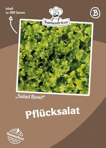 Pflücksalat Salad Bowl ca. 800 Samen - schossfester Eichblattsalat