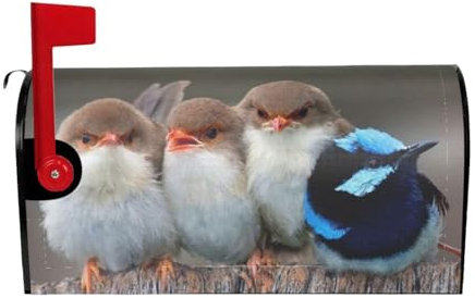 Magnetischer Briefkasten, Motiv: vier Vögel, in verschiedenen Größen