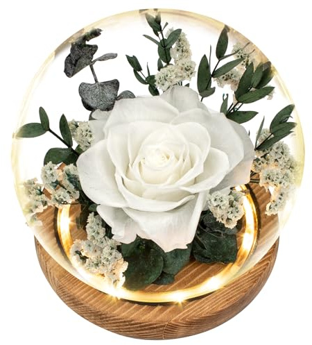 Regalo Flor Fleurs préservées cadeaux pour femme, roses blanches préservées dans un dôme en verre, composition florale de véritables roses, fleurs éternelles pour maman, cadeaux d'anniversaire pour