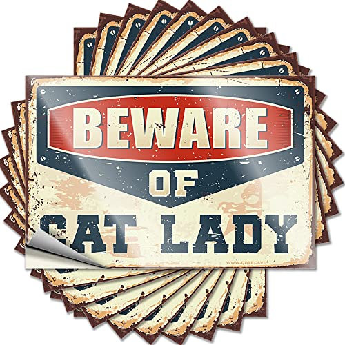 Calcomanías y calcomanías divertidas para el coche, cuidado con el gato, 10 unidades, 12 x 18 cm