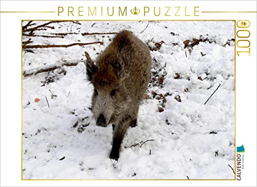 CALVENDO Puzzle Junges Wildschwein im Colditzer Forst | 1000 Teile Lege-Größe 64 x 48 cm Foto-Puzzle für glückliche Stunden