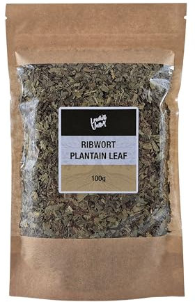 Lowhill Valley Ribwort Plantain Leaf - Cut and Dried Plantago lanceolata Leaves - For Respiratory Function and Digestive Well-being- Loose Herbal Tea - 100% Natural – 100g