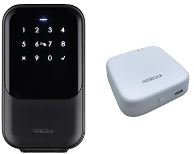 ARREGUI Keeper 2.0 SEG015N + BRIDGE Schlüsselsafe mit Öffnung via App, Code per Tastatur oder Karte, Schlüsselsafe für den Außenbereich, Schlüsselsafe für die Wand, Tourismuswohnungen