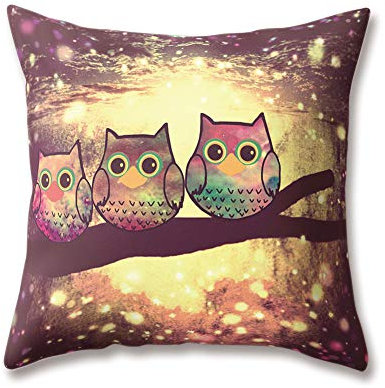 Hengjiang Kissen Cute Cartoon Vogel Eule Druck 18 x 18/45 x 45 cm Doppelseitig Überwurf Weich Plüsch Kissen für Home Sofa Bett Deko 12