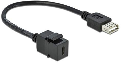 DeLOCK ADAP Keystone USB-C 2.0 to USB2.0 A BUCHSE MIT KABLE