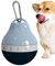 Borraccia da viaggio per gatti, dispenser d'acqua e bottiglia per cuccioli, dispenser portatile per animali domestici, mangiatoia per cani a prova di perdite, dispenser d'acqua per cani da viaggio per