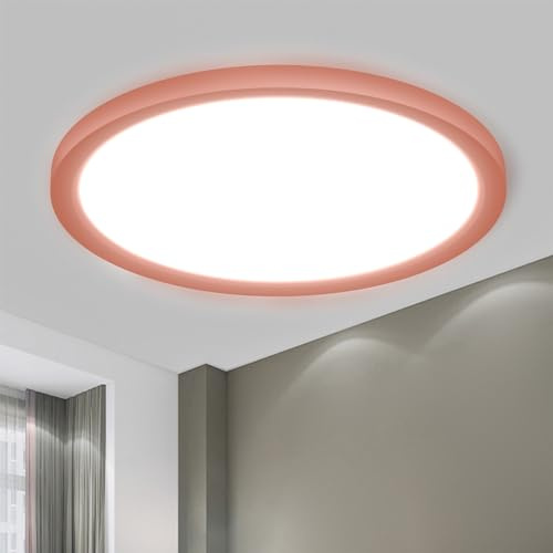 LQWELL® Deckenleuchte LED Deckenlampe, IP44 Wasserfest Badlampe Rund Flach 23W 6000K 2600LM Modern Schlicht Lampe Dünn für Wohnzimmer Badezimmer Schlafzimmer Küche Balkon Keller Büro, 300 * 18mm