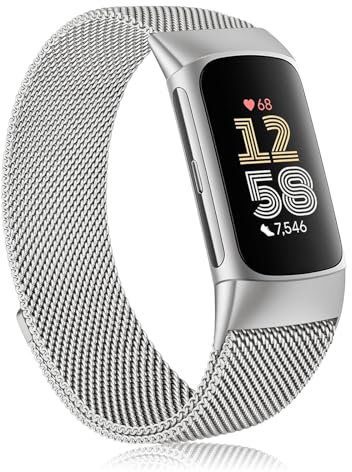 Metal Band Compatible with Fitbit Charge 6 Bands Women Men, Stainless Steel Mesh Loop Magnetic Replacement Bracelet Strap for Fitbit Charge 6 Fitness Tracker (Silver)