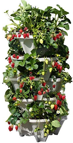 Mr. Stacky Fioriere verticali da giardinaggio a 5 livelli, per interni ed esterni