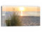 DEQORI Glasbild Echtglas | Motiv Ostseestrand am Abend | horizontal einteilig 60x30 cm | schöne Dekoration | Wandbild für Wohnzimmer, Schlafzimmer, Flur & Küche | moderne Wanddeko