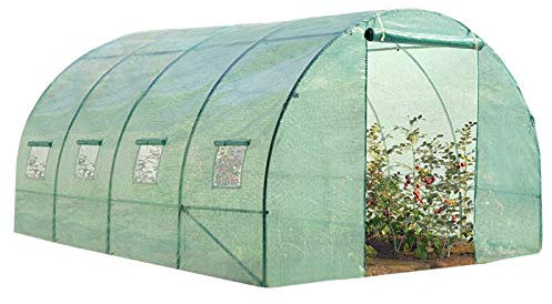 IDMarket - Serra da giardino a tunnel 12 m² verde traslucido 3 x 4 m