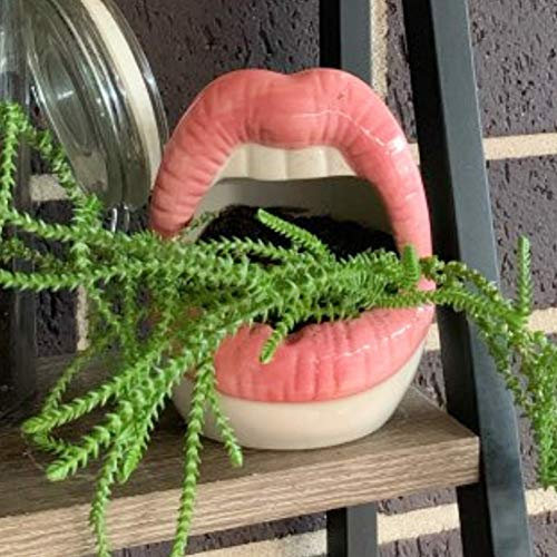 Lemonadeus Pot de fleurs en céramique avec motif lèvres sexy - Pour ranger vos objets - Rose