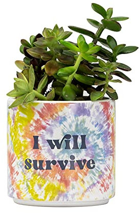 About Face Designs Blurred Collection - Vaso per piante grasse in gres porcellanato, stile retrò, motivo: I Will Survive