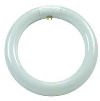 6PZ CIRCOLINE TRIFOSFORO FLUORESCENTI T9 G10Q - 32w - 6500?K fredda - 2000 lm - 305x30