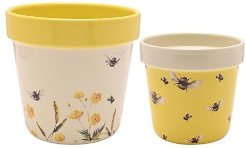 Widdop and Co Country Living Lot de 2 pots de fleurs pour plantes, joli pot de fleurs pour jardin, maison, salon, bureau, petit cadeau de jardinage intérieur et extérieur, 12 cm x 11 cm (jaune -