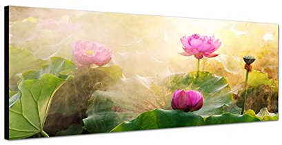 Wandbild auf Leinwand ( Leinwandbild ) als Panorama in 120x40 cm Lotusblume Lotos oder Lotus (Nelumbo) am blühen. Blumen aus Asien. Güne Lotusblätter. Wasserpflanzen