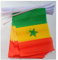 AZ FLAG Ghirlanda 6 Metri 20 Bandiere Senegal 21x15cm, Bandiera Senegalese 15 x 21 cm - Festone Bandierine