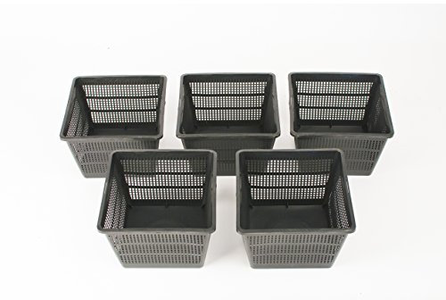 Inter Flower – Juego de 5 l macetas plantas de agua 18 x 18 x 12 cm/para estanque – Bien Adecuado para estanque plfanzen como Nenúfares/plástico/Estanque cesta de plantas, jardín estanque agua Plantas