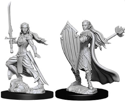 Dungeons & Dragons WZK72642 Zubehör, WK72642