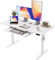 Agilestic Scrivania regolabile in altezza con vassoio per tastiera, 120 X 60 Cm Scrivania in piedi elettrica, Scrivania con preset di memoria, Postazione moderna per gaming, bianco