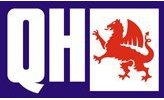 QH-Benelux QFP656 Kraftstoffpumpe