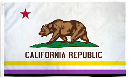 AZ FLAG - Flagge Kalifornien Non-Binary Stolz - 150x90 cm - Genderqueere Fahne 100% Polyester mit Messing-Ösen - 110g