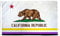 AZ FLAG - Flagge Kalifornien Non-Binary Stolz - 150x90 cm - Genderqueere Fahne 100% Polyester mit Messing-Ösen - 110g