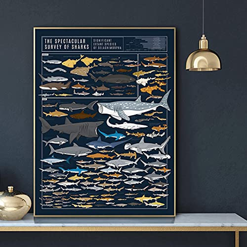 FFLSDR Leinwand Gedruckt Malerei Haie Tier Chart Wandkunst Modulare Moderne Nordischen Stil Poster Bilder Wohnkultur 30x40cm Rahmenlos