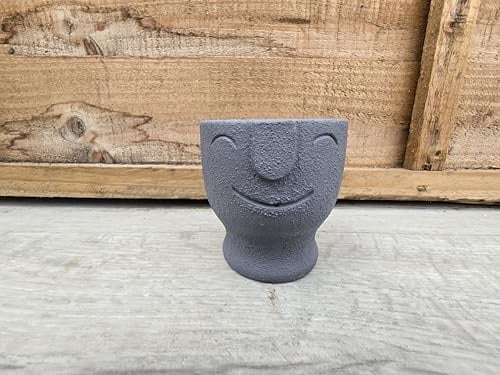 Egg Cup Face with 'HeHe' Look, Decorative Pot Cover (Blue). Perfect for Gifts/Personal Use. Good for Office/Home Environment. Perfect for Cactus/Cacti and Succulents. 5.5cm Inner Diameter