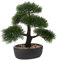 Briful 14.1 Artificial Bonsai Tree Fake Plants Cedar Artificial Plant Indoor Decoration Potted Faux Plants Japanese Bonsai Faux Ceder Plant Indoor Home Office Kitchen Décor