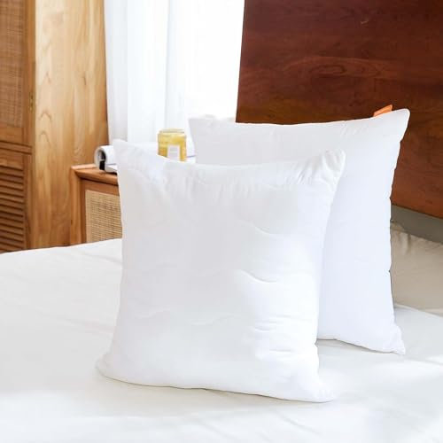 Sweetnight Kopfkissen 60x60 2er Set, Kissen aus Polyesterholfaser Kissenfüllungen, Weiches und Stützendes Kissen für alle Schlafpositionen, atmungsaktives Schlafkissen Waschbar mit Reißverschluss