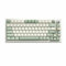 PBT keycaps Matcha Green, Cherry Profile Keycaps 60 75 Percent,Double Shot Key Cap,dye-sub Keyboard caps, 134keys Custom Key caps for Mechanical Keyboard (Spring Tea,only keycaps)