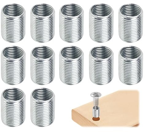 12 Pezzi Inserti Filettati M12 a M10 x 15 mm Dadi di Riduzione in Acciaio Inox, Dadi di Riduzione per Progetti di Mobili, Automobili e Dispositivi Meccanici, Manicotto di Riduzione con Filettatura