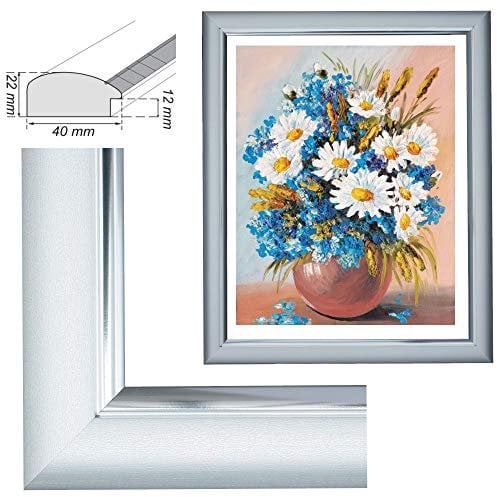 RAABEC Bilderrahmen, für Bilder der Größe 40x50cm, Farbe Silber, ideal für Malen nach Zahlen z.B. von Schipper oder Ravensburger, Neu! (mit Antireflex-Acrylglas)