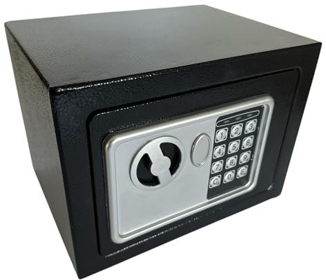 Cassaforte a Mobile in acciaio elettronica con chiusura a combinazione per Hotel per Armadio (230x170x170H cm)