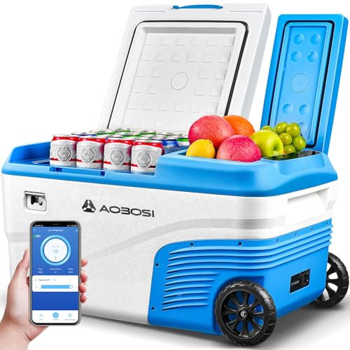 AAOBOSI Kompressor Kühlbox 25L，Auto Kühlbox 20°C bis -20°C, Elektrische Kühlbox mit APP Steuerung, 12/24V DC &100-240V AC Kühlbox für Auto, Camping, LKW, Boot, Wohnmobil, Reisemobil und Steckdose